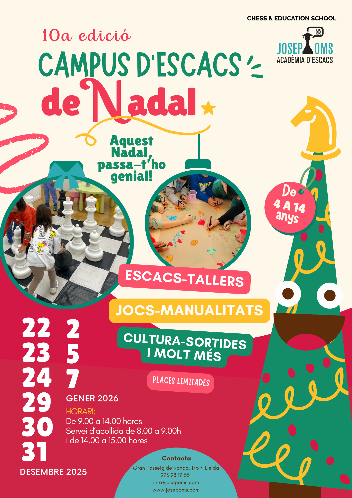 Featured image for “Viu un Nadal ple d’escacs, creativitat i diversió a l’ADEJO!”